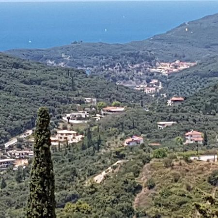 Vito'S Parga View Apartments Eksteriør billede
